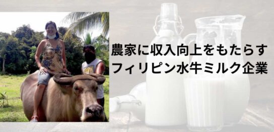 フィリピンの水牛ミルク企業